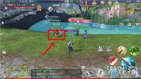 救援鹦鹉