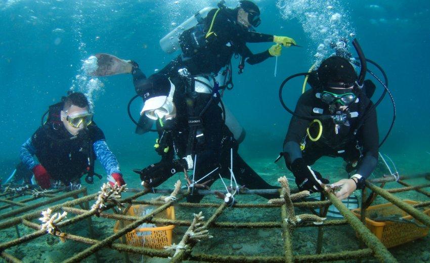 南野拓实:克洛普象征着利物浦近些年的成功,他的离开让人震惊